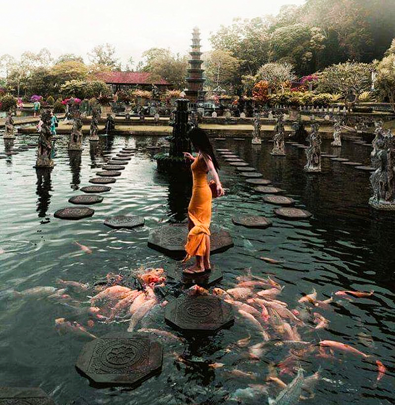 Khách tham quan nô đùa cùng đàn cá tại đền Taman Ayun