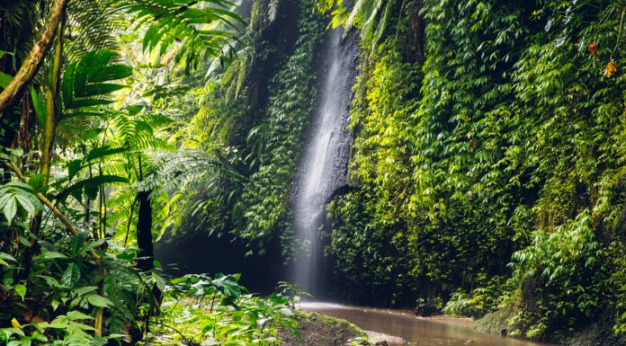 Thác Tukad Cepung Waterfall Bali | Đường đi | Giá vé | Hướng dẫn A-Z Thác Tukad Cepung Bali
